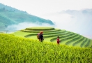 922-7-mu-cang-chai-yen-bai-vietnam