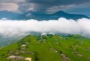 Terraced rice fields Hoàng Su Phì (Hà Giang)