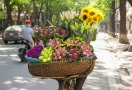 Street vendor in Hanoi, Vietnam