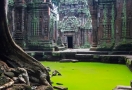 922-Ta-Prohm-3