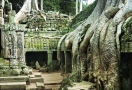 922-Ta-Prohm-1