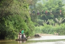 Mae Sapok trekking