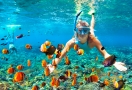 Snorkeling in Koh Chang island