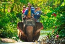 Elephant Jungle Sanctuary in Chiang Mai