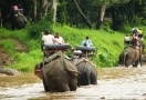 Elephant camp in Chiang Mai