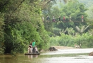 Bamboo raft on Mae Tang river