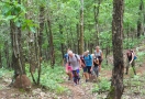 Hiking Thailand Chiang Mai