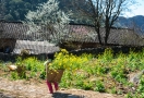 village-a-ha-giang