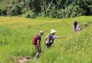 Trekking in Mai Chau Valley