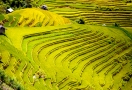 922-sapa-vietnam-3