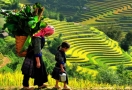 922-sapa-vietnam-7