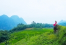 Terraced rice fields in Pu Luong