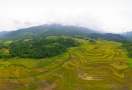 Terraced rice fields in Pu Luong