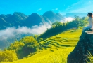 Terraced rice fields in Pu Luong