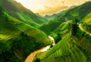 Terraced fields in Sapa