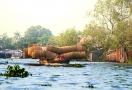 Floating Market in Mekong River