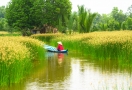 Sampan cruise in Mekong River