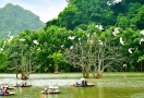 Sampan cruise in Thung Nham (Ninh Binh)