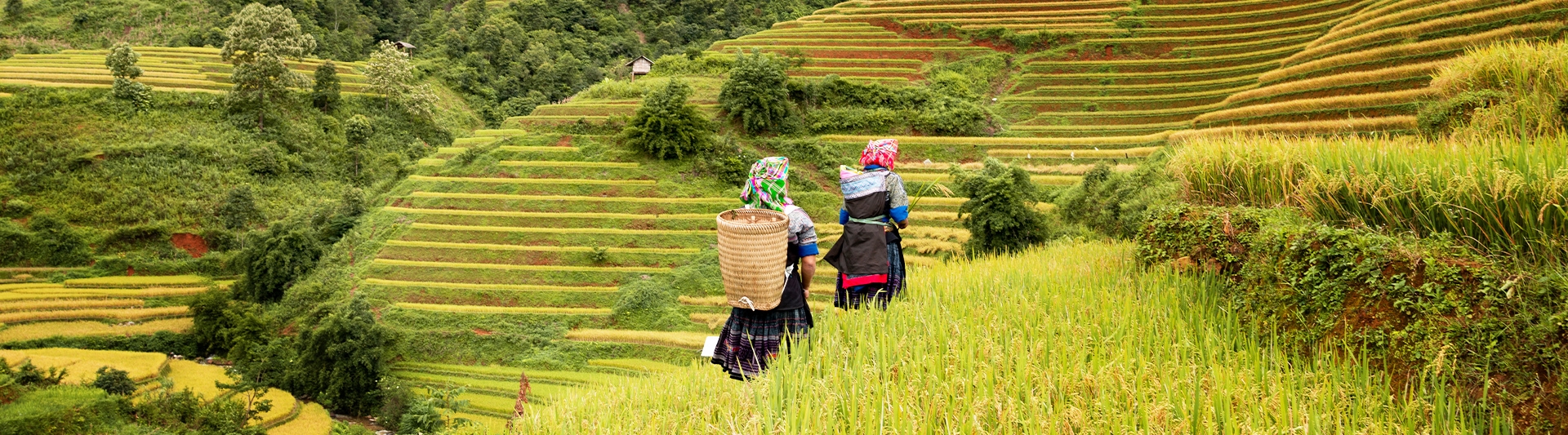 North Vietnam Tours