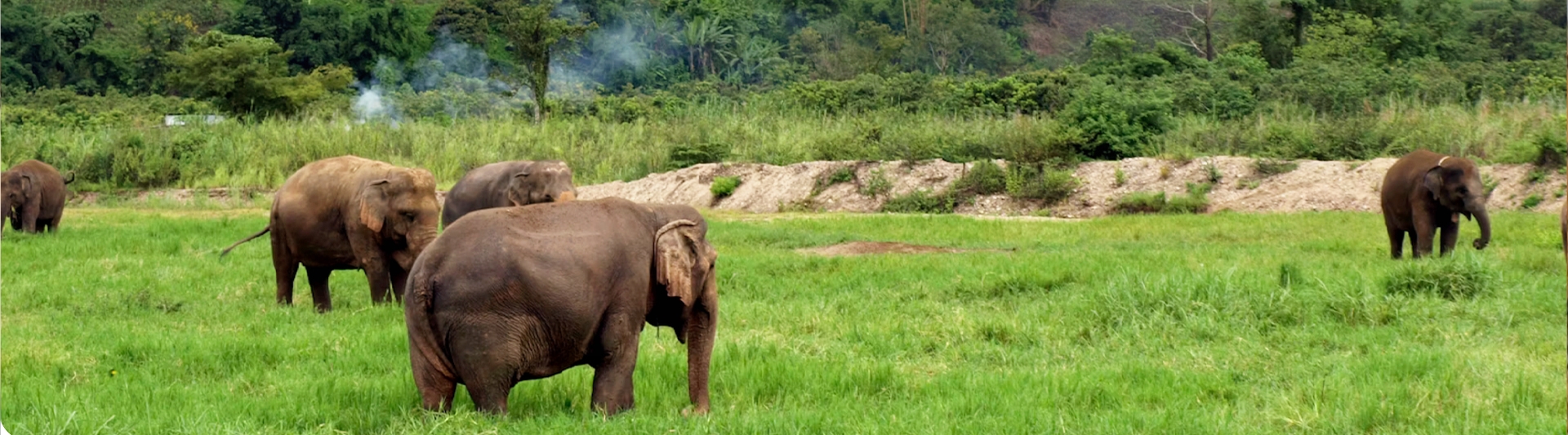 Mondulkiri Travel Guide