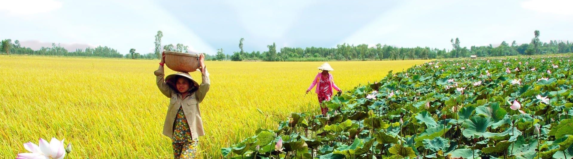 Mekong Delta Travel Guide