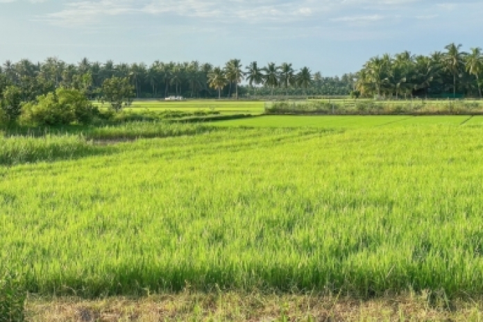 The Farming Village Ban Don Saingam (B,L,D)