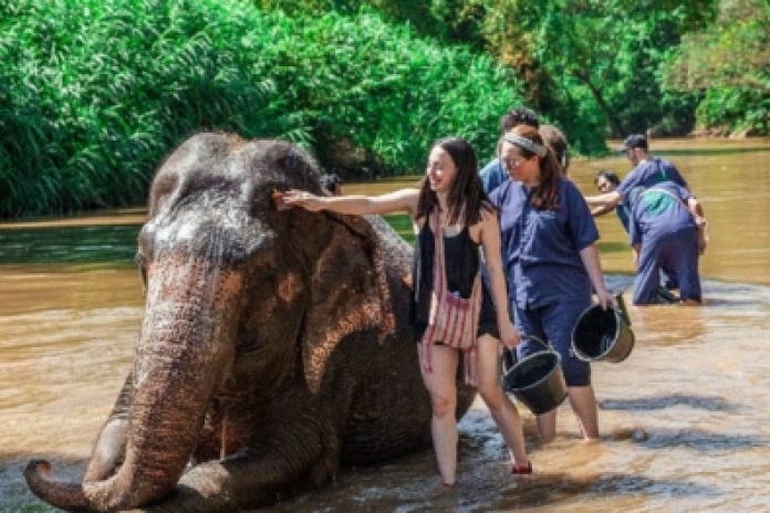 Pak Beng Elephant Sanctuary (B,L,D)