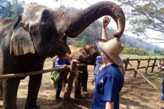 Pak Beng Elephant Sanctuary (B,L,D)