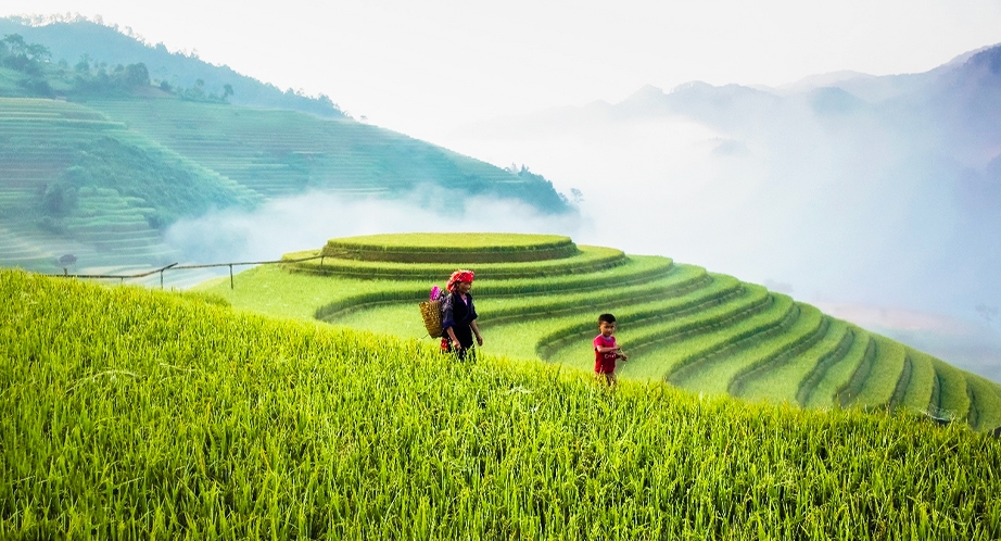 Terraced rice fields in Mù Cang Chải