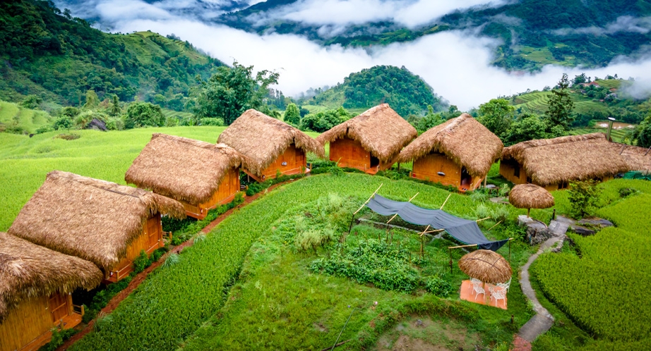 Terraced rice fields Hoàng Su Phì (Hà Giang)