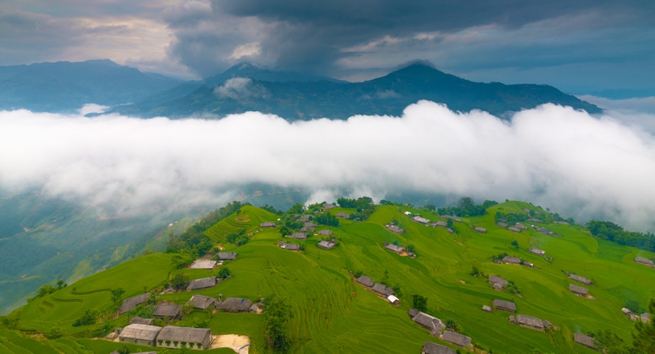 Terraced rice fields Hoàng Su Phì (Hà Giang)