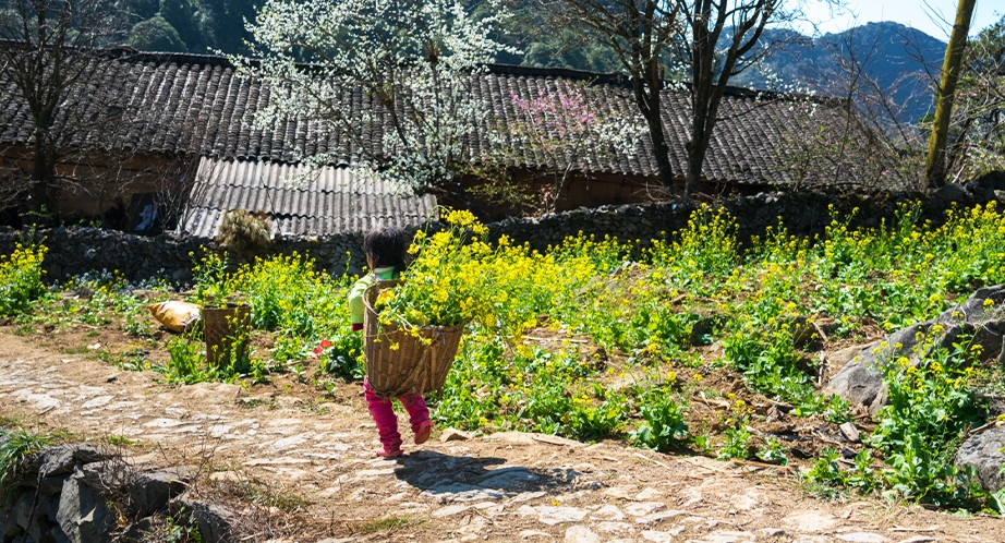 Đồng Văn, Ha Giang