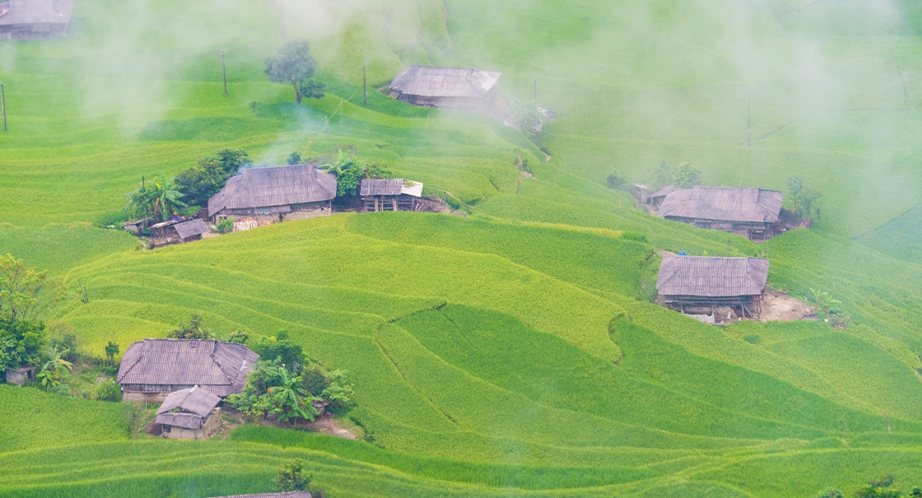 Terraced rice fields Hoàng Su Phì (Hà Giang)