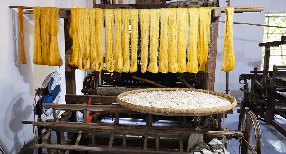 Golden silk thread in Phùng Xá village