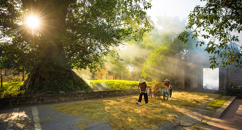 Duong Lam ancient village trip