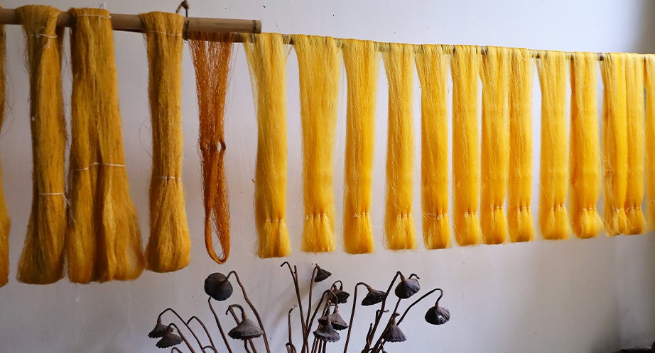 Golden silk thread in Phùng Xá village