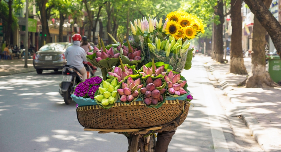 Street vendor in Hanoi, Vietnam