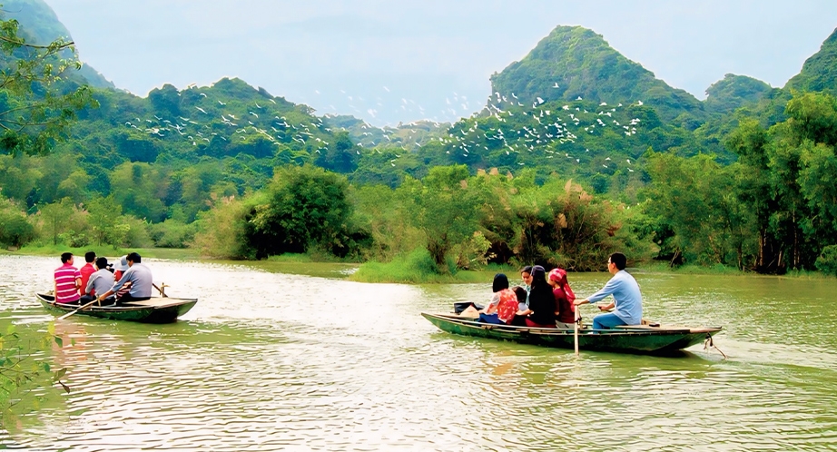 Sampan cruise in Thung Nham (Ninh Binh)