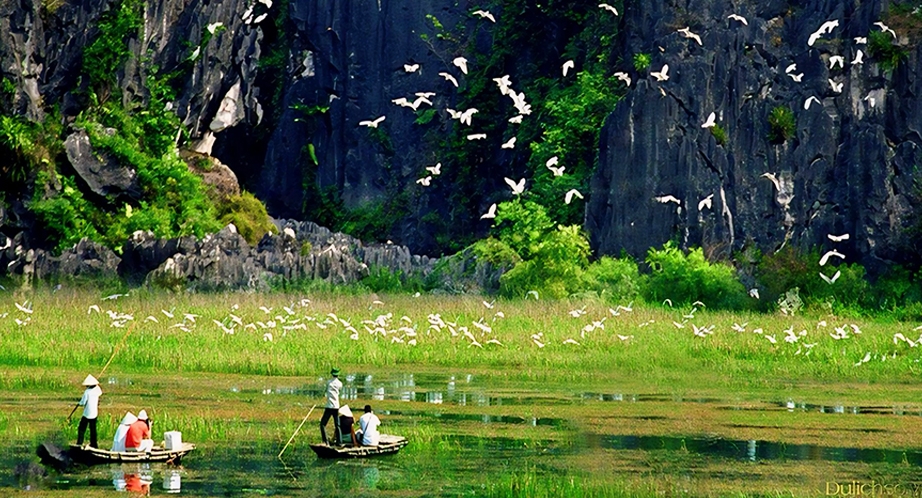 Sampan cruise in Thung Nham (Ninh Binh)