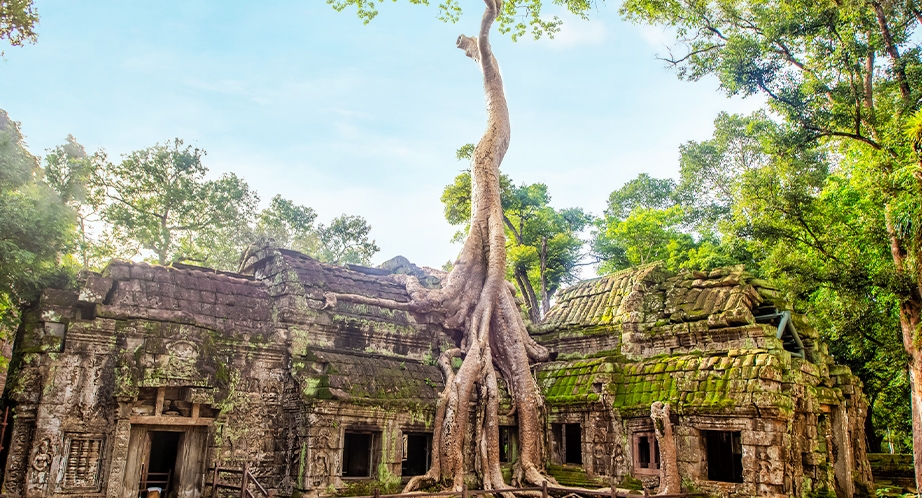 922-Ta-Prohm-6