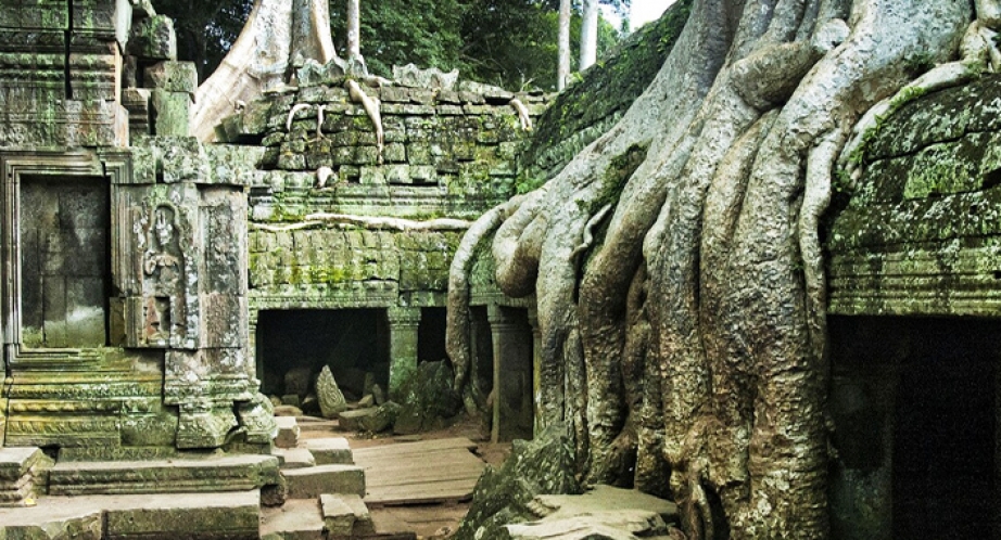 922-Ta-Prohm-1