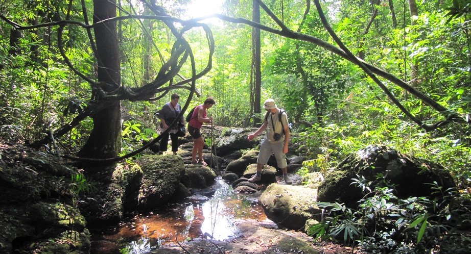 Orchid Trek in Vientiane