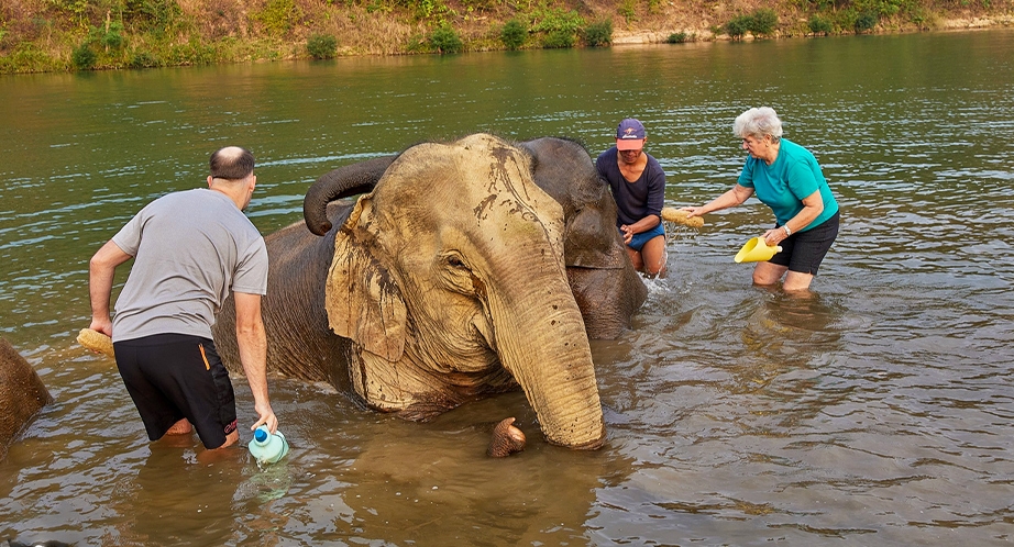 Elephant Village Camp