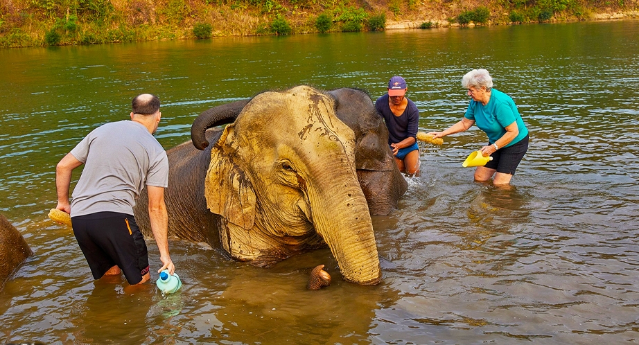 Elephant Village Camp