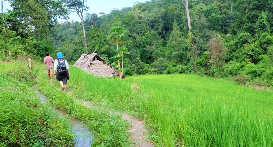 Mae Sapok trekking