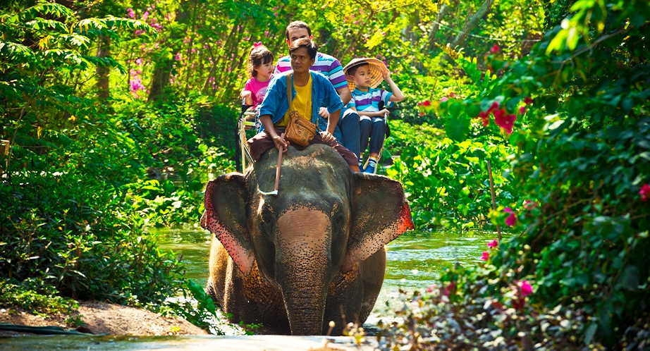 Elephant Jungle Sanctuary in Chiang Mai