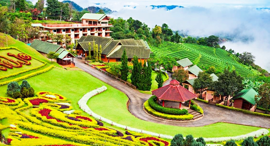 Chiang Rai (Doi Tung)