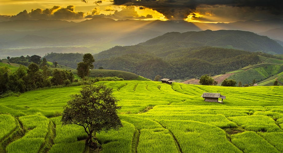 Chiang Mai