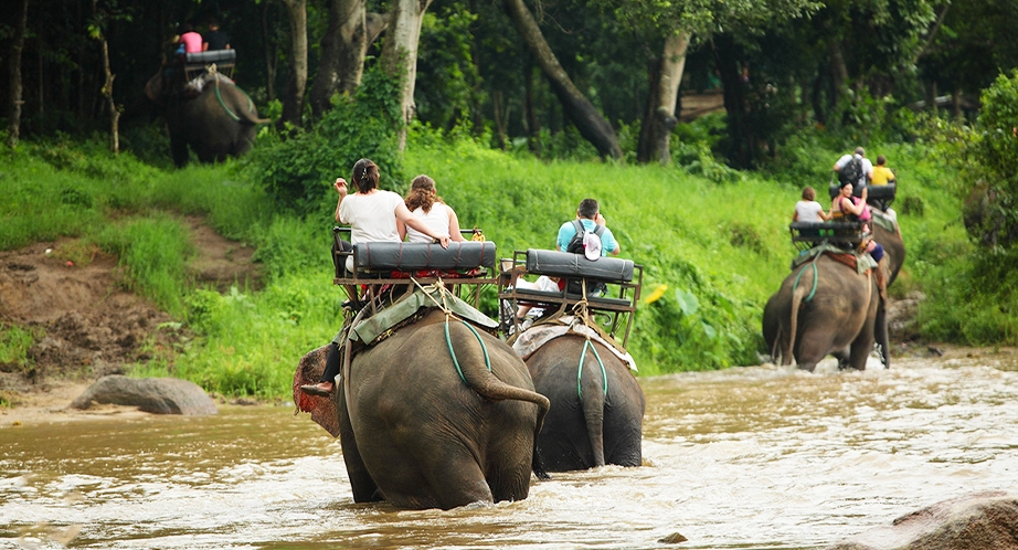 Elephant camp in Chiang Mai