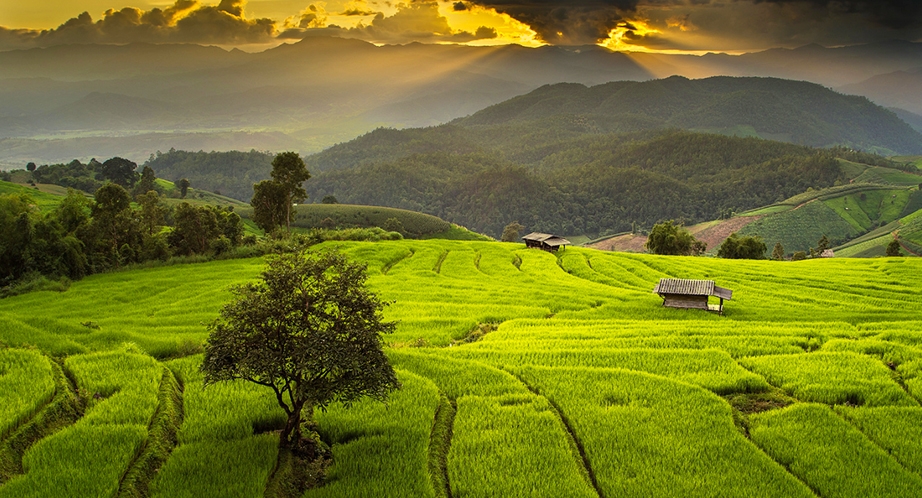 Chiang Mai trekking